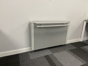 dual-core-electric-radiators